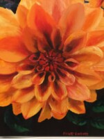 Orange Dahlia perennial walled garden Wimpole Estate Cambridgeshire England A beautiful Orange flower I painted from a photo I took back in early autumn 2016 in the walled garden of Wimpole Estate in Cambridgeshire, England.