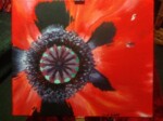 Giant red poppy wild flower Blickling Estate Norfolk England A painting I did from a photo I took near a pub right next to Blickling Estate, Norfolk, England.