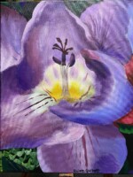 Purple Freesia close up Funeral wreath A second close up of another one of me late nan’s favourite flower.