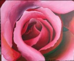 Painted this absolutely gorgeous pink rose from a photo I found on Flickr.. (original photo shot belongs to rightful owner) Pink Rose